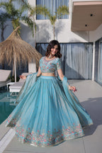 embroidered lehenga set
