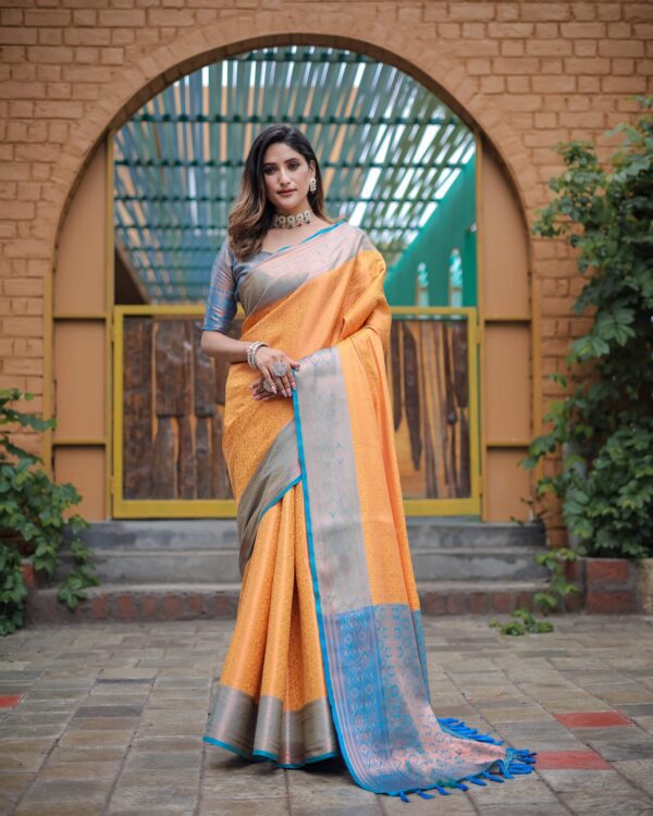 Beautiful Kanjivaram Saree