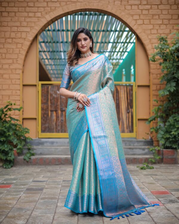 Beautiful Kanjivaram Saree