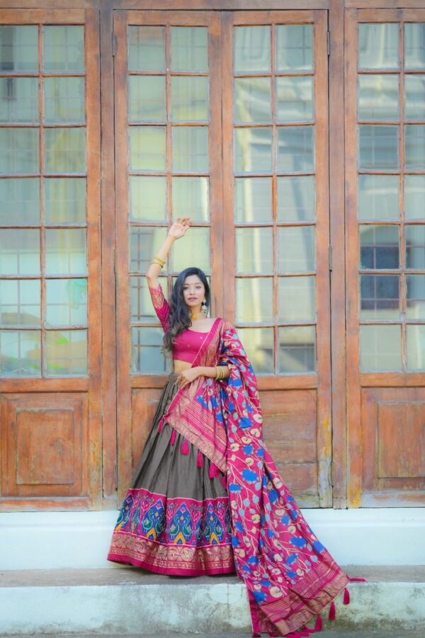 Beautiful Aesthetic Lehenga