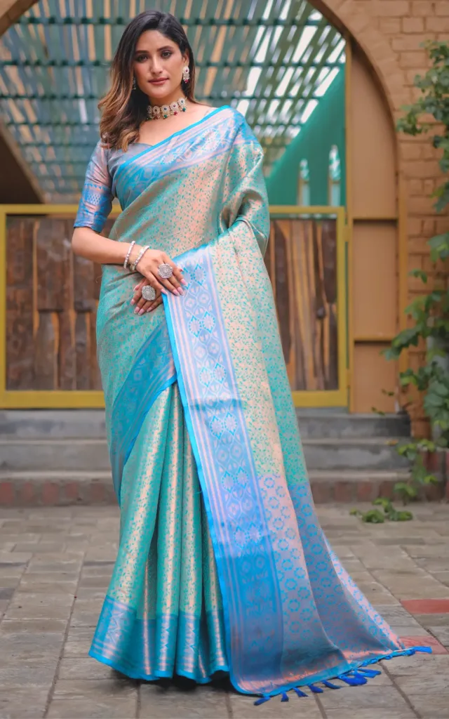 saree, lehenga, choli, kurti, gown, and salwar suit